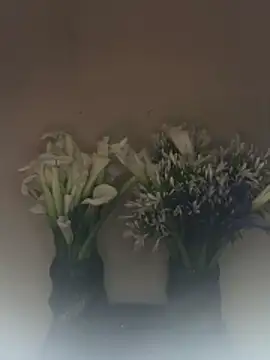 SLNatasha – Live XXX-chat