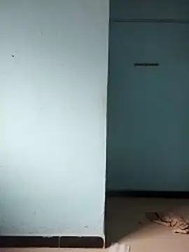 dzboy1994 Webcam-Show