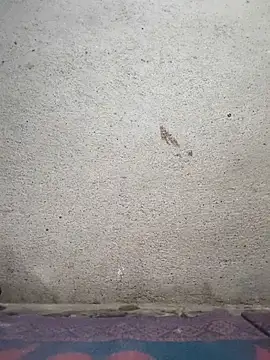 Gautami-teluguのライブXXXチャット