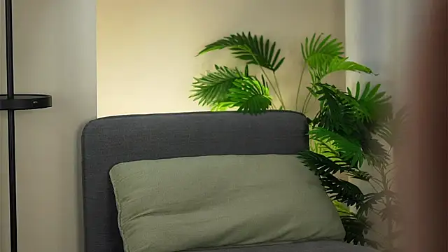 Chat +18 de akumadadrive ao vivo