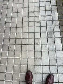 Show de webcam de buodiculo