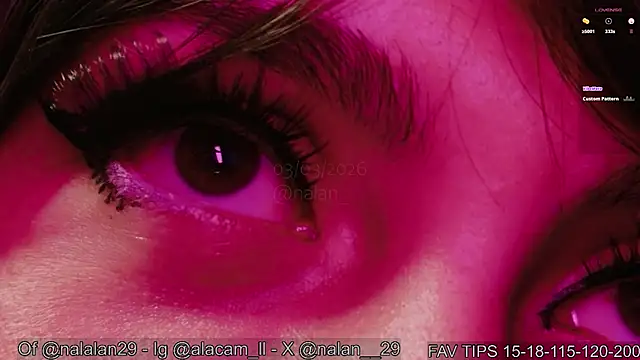 Chat +18 de Nalan__ ao vivo