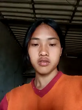 Hoa-tuylipのウェブカメラショー