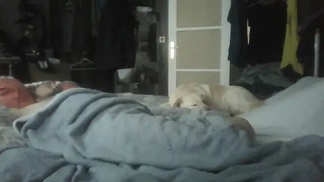 Prehistorixxx2686 – Kamerová šou