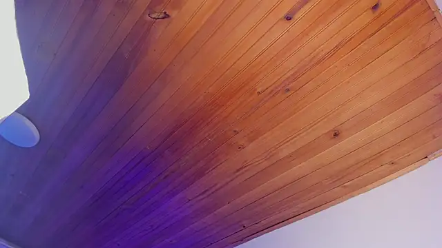 Chat +18 de Irisbeel ao vivo