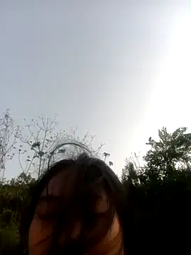 Chat XXX Live Hoa-tuylip