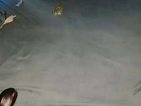 Chatroom XXX en direct de sexxytracy