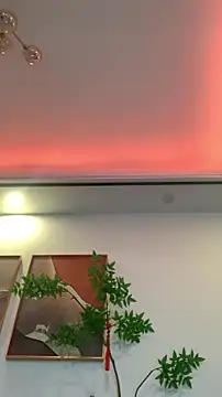 zhizhinaigai Obrolan Langsung XXX