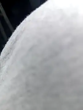 Czat XXX na żywo – kenzzzz