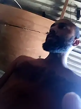 Camodick 网络视讯表演