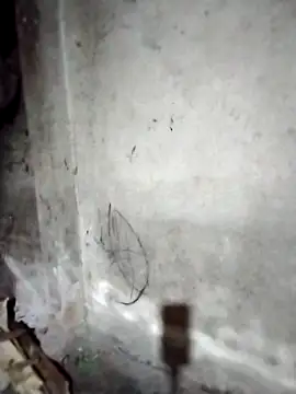 ngocbao11 网络视讯表演