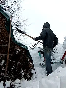 _uncle_Mitya-43_ – Live XXX-chat