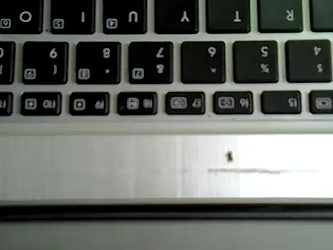 Delicious-Dn Webbikameraesitys