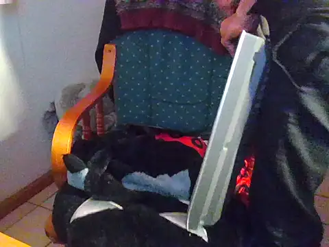 Bernymanstrong – Kamerová šou