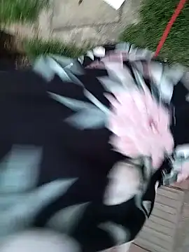 Show Webcam de Brenda_Berck_