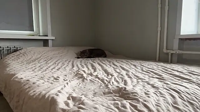 Czat XXX na żywo – lisa_montana