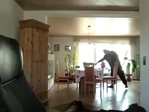 Nobbie444 웹캠 쇼