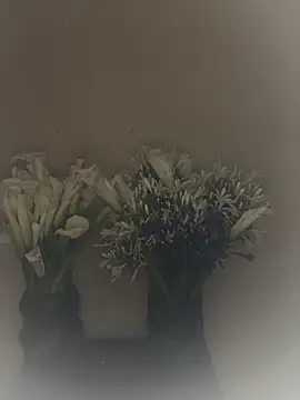 SLNatasha – Naživo XXX chat