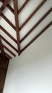 Show webcam de Arilw