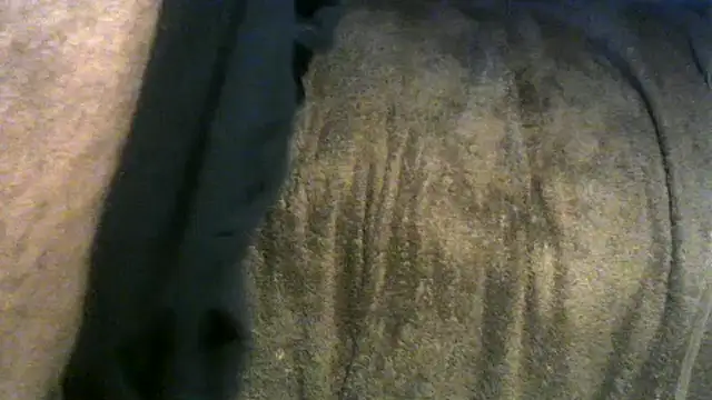 RickDaDickDickerson Adlı Modelin Web Kamerası Şovu