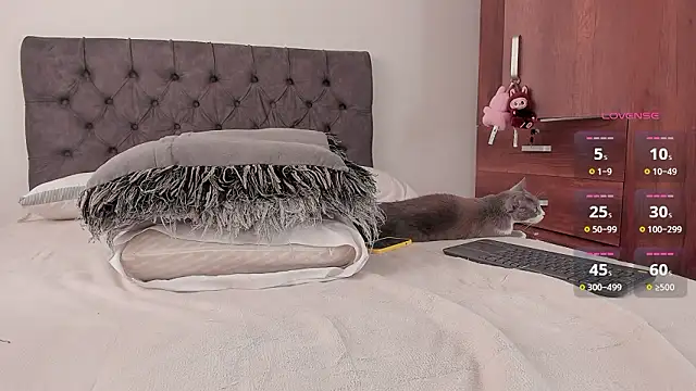 jordanmuskk Live XXX Chat