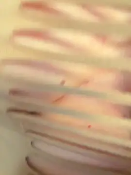 didihairypussy's Webcam Show