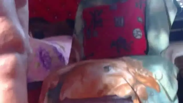 janex69's Live XXX Chat