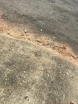 Show de webcam de ohnovim