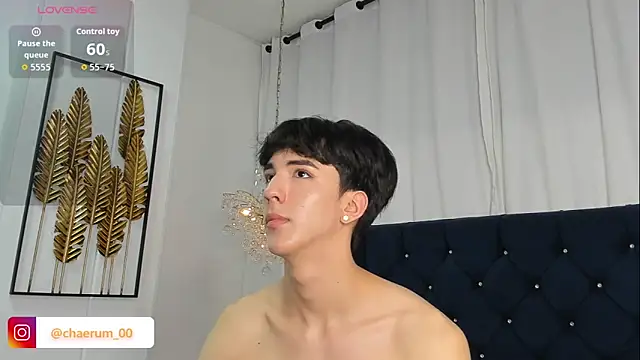 AerumChaeのウェブカメラショー