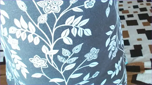 Geisha_Seniers Webcam-Show