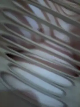 didihairypussy webcam show