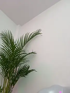 Ariana_TuFantasiaHotn Webbikameraesitys