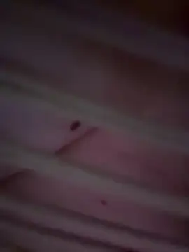 didihairypussy 网络视讯表演