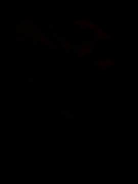 Show webcam de Shank599