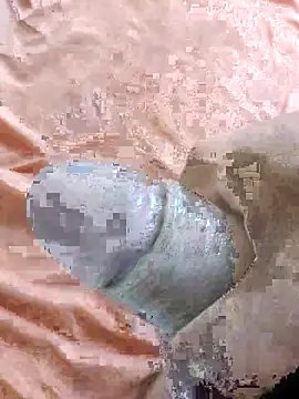 Show de webcam de putopau15