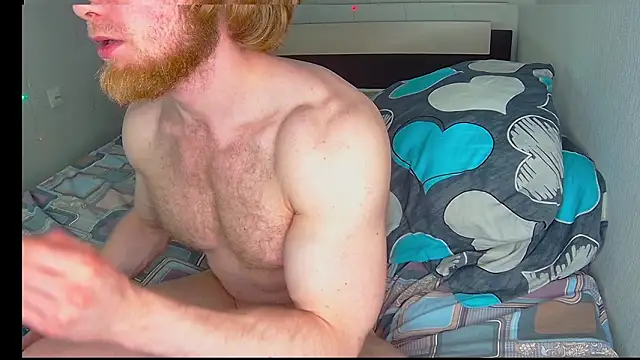 Show webcam de Snow-Bars77