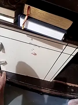 عرض كام zariocesar