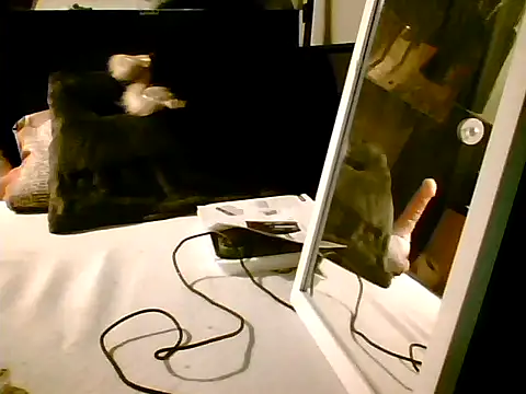 Slutviki69 Live XXX-chat