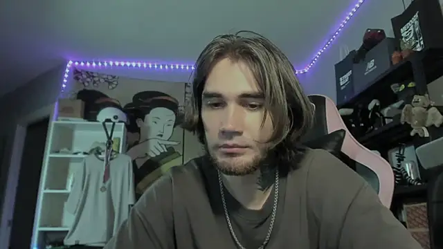 Pertunjukan Kamera Web otiebis