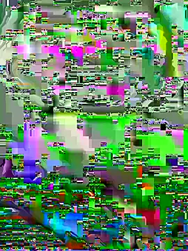 Ce3003 webkamerás műsora