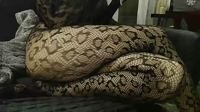 Chat +18 de Sihirli_Serra ao vivo