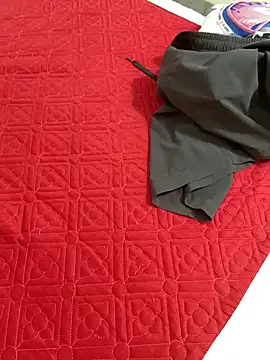 vietAnhzip 在線直播表演