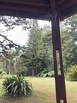 AliceMrtnz's Webcam Show