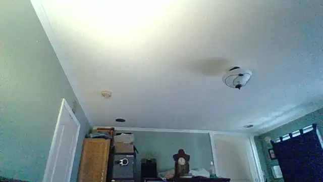 Pokazy przed kamerką – ThatPlatinumD