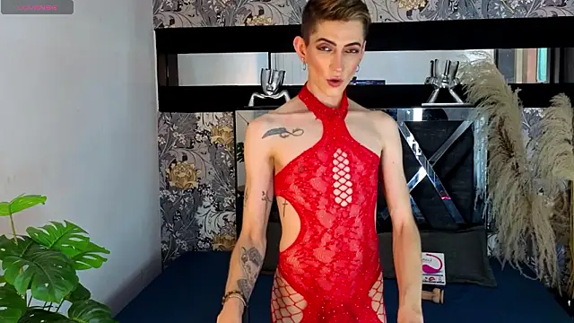 dominic_thailor – Live XXX-chat