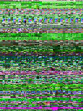 Tillymarie's Live XXX Chat