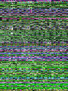 Tillymarie's Webcam Show