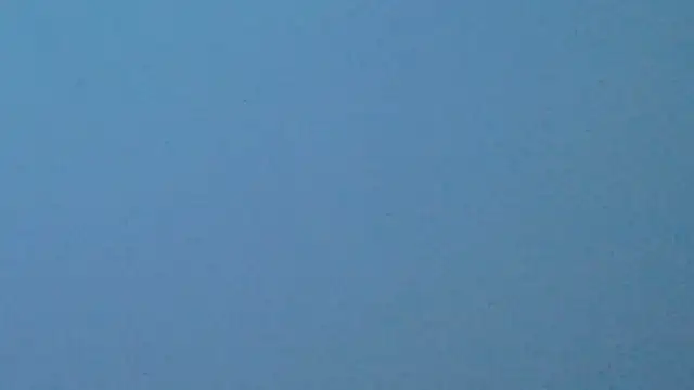 Strip_Adelina Webcam show