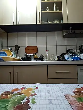 Show modela vulpe8400 na web-kameri