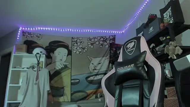 Show modela otiebis na web-kameri